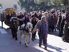 DSC06032.jpg