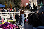 DSC00460.JPG