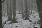 IMG_9190.JPG