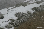 IMG_9321.JPG