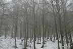 IMG_9145.JPG