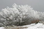 IMG_9324.JPG