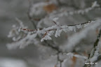 IMG_9232.JPG