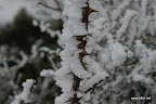 IMG_9285.JPG