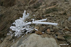 IMG_9260.JPG