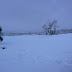 P1100041.JPG