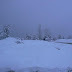 P1100048.JPG