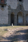 DSC09612.JPG