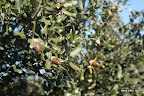 DSC09670.JPG