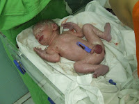 DSCF5082.JPG
