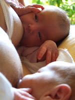 DSCF5198.JPG