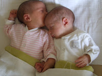 DSCF5329.JPG
