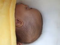 DSCF5748.JPG