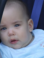 DSCF7537.JPG