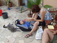 DSCF8917.JPG