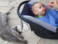 DSCF8919.JPG