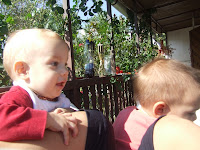 DSCF1229.JPG