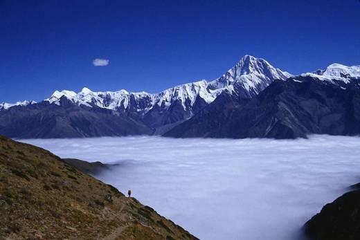 fantastic_nature_11.jpg
