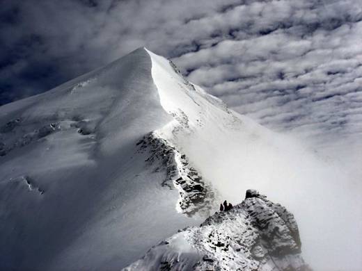 fantastic_nature_17.jpg