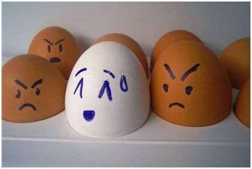 funny_creative_pictures_eggs_4.jpg