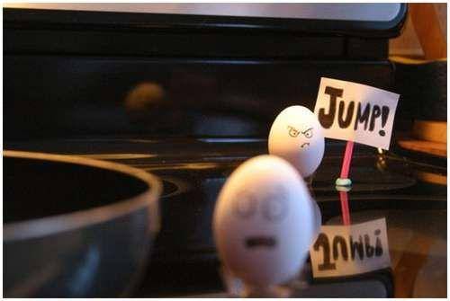 funny_creative_pictures_eggs_11.jpg