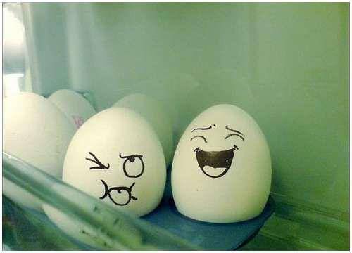 funny_creative_pictures_eggs_16.jpg