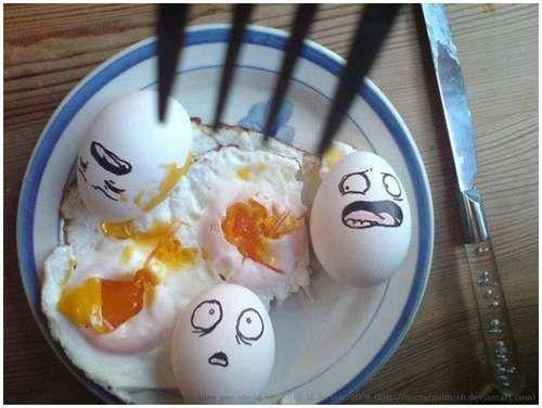 funny_creative_pictures_eggs_18.jpg