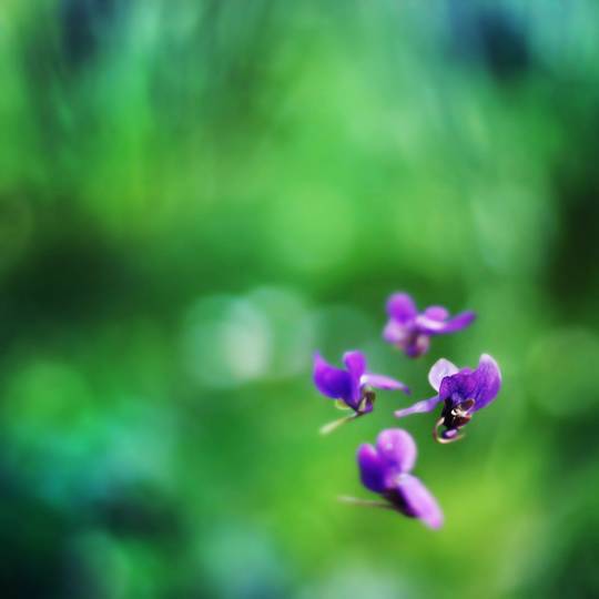nature_photos_21.jpg