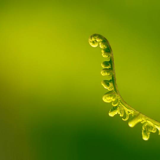 nature_photos_20.jpg