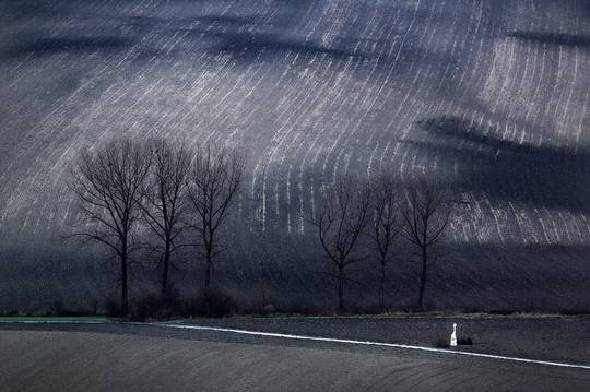 beautiful_nature_19.jpg