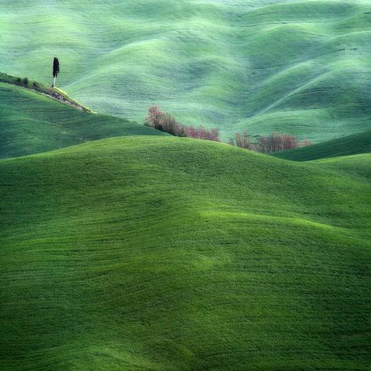 beautiful_nature_10.jpg