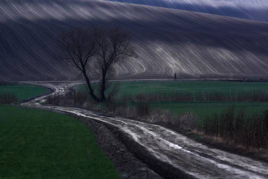beautiful_nature_15.jpg