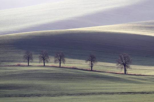 beautiful_nature_21.jpg