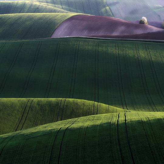 beautiful_nature_2.jpg