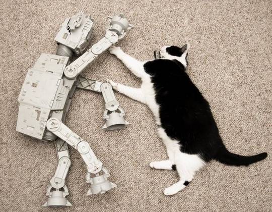 funny_animals_picture_14.jpg