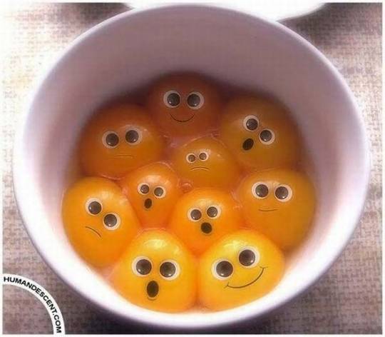 funny_pictures_27.jpg