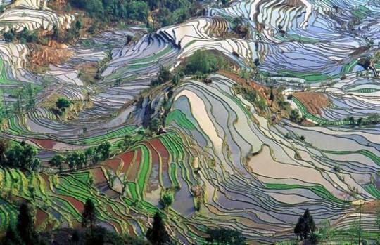 nature_human_pictures_22.jpg