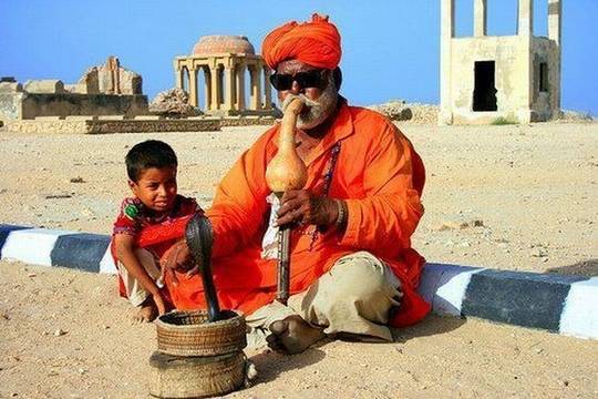 funny_pictures_from_indian_54.jpg
