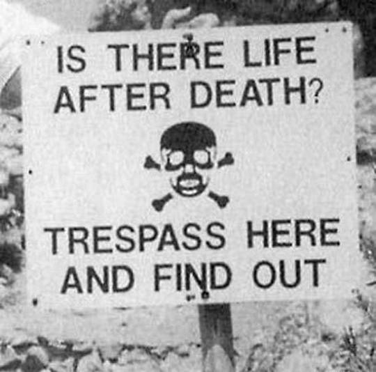 funny_pictures_15.jpg