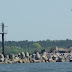 110.JPG