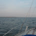 20100530_Pilies Regata_028.JPG