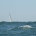 20100529_Pilies Regata_028.JPG