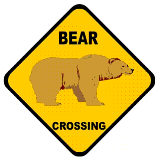 [Bear Crossing[5].png]