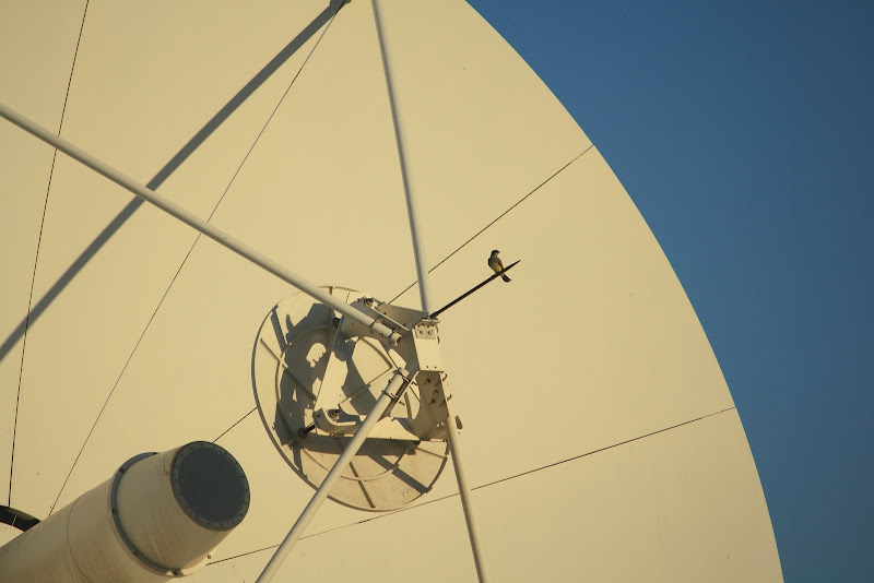 IMAGE: http://lh3.ggpht.com/_ItpVhXwjXYs/SSD4-U89cWI/AAAAAAAAATg/F5CXL1RXy0s/s800/IMG_1703.JPG