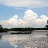 Morib - 2009 Sept