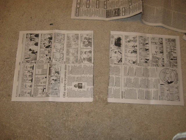[newspaper pots 01[2].jpg]