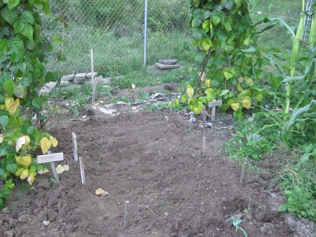 [garden round 2 13[2].jpg]