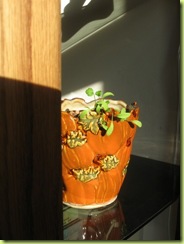 living room garden 03