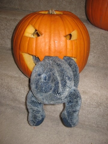 [pumpkins 11[2].jpg]