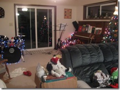 Christmas decor 03